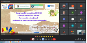 Captură de ecran 2024-12-28 221702